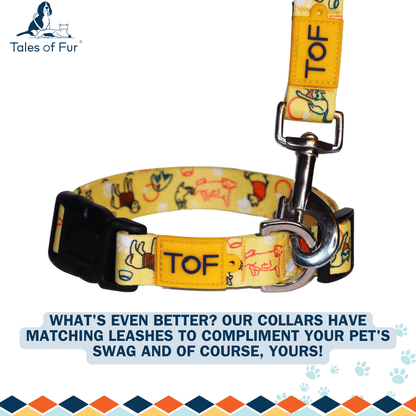 Tales of Fur It's Play - time! Plastic buckle collar with metal D - Ring Large - Natural Pet Treats - Tales Of Fur