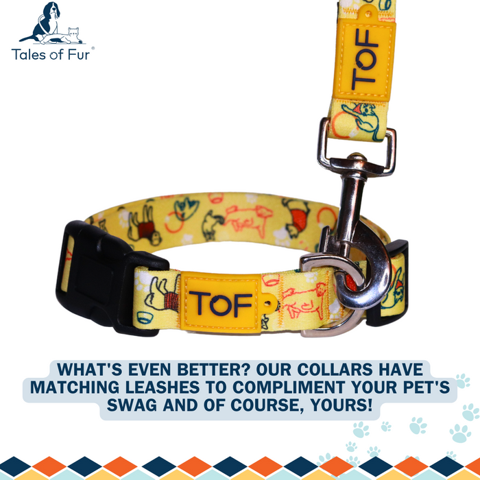 Tales of Fur It's Play-time! Snap hook leash with padded handle Small