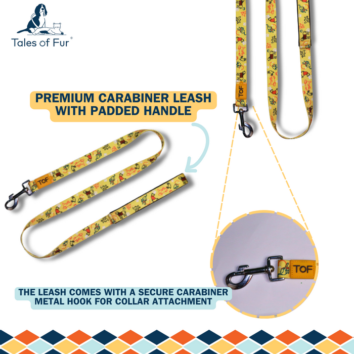 Tales of Fur It's Play-time! Snap hook leash with padded handle Small