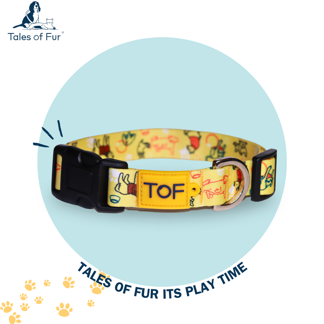 Tales of Fur It's Play-time! Plastic buckle collar with metal D-Ring Large