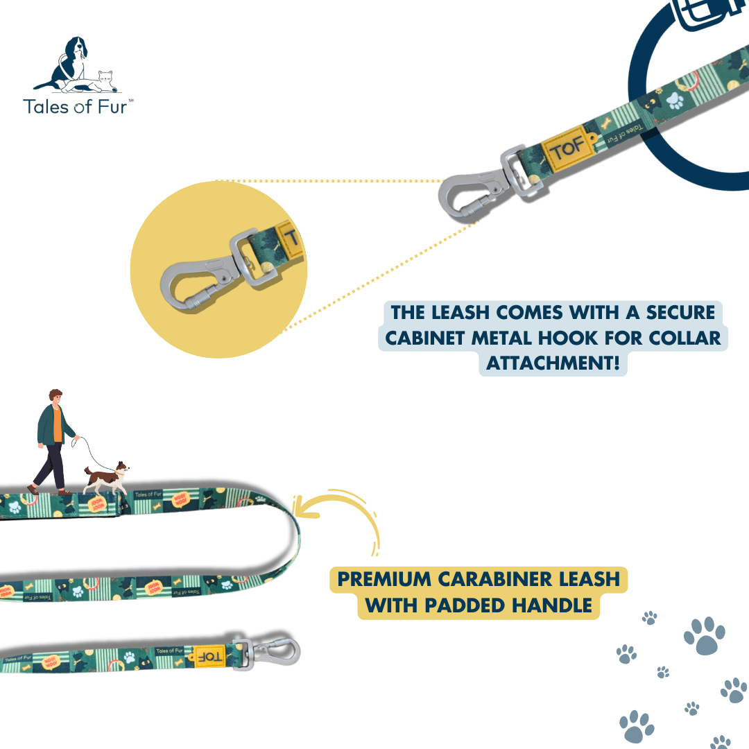 Tales of Fur Motion Picture Premium carabiner leash with padded handle Large - Natural Pet Treats - Tales Of Fur
