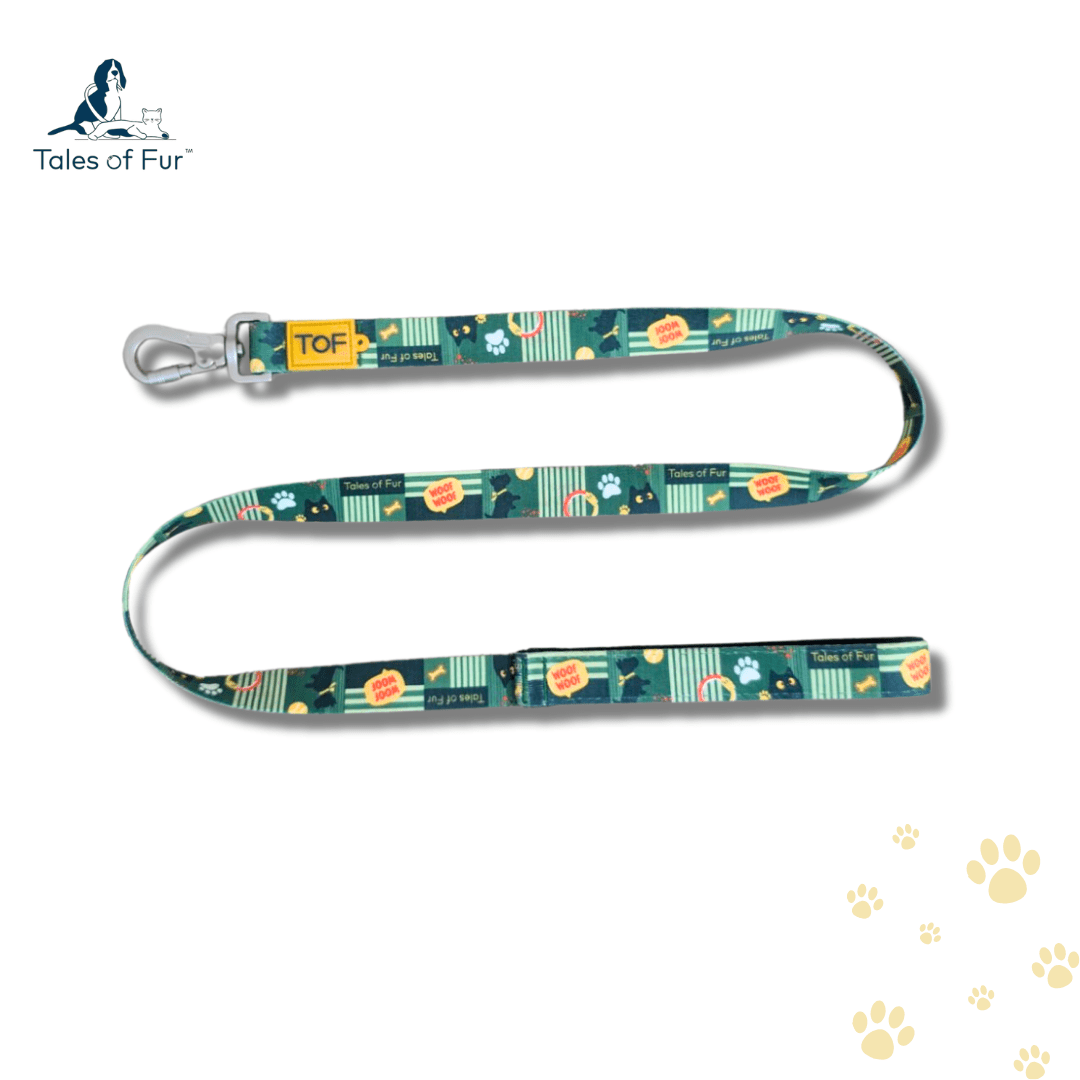 Tales of Fur Motion Picture Premium carabiner leash with padded handle Large - Natural Pet Treats - Tales Of Fur