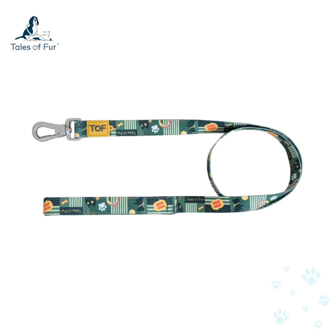 Tales of Fur Motion Picture Premium carabiner leash with padded handle Large - Natural Pet Treats - Tales Of Fur