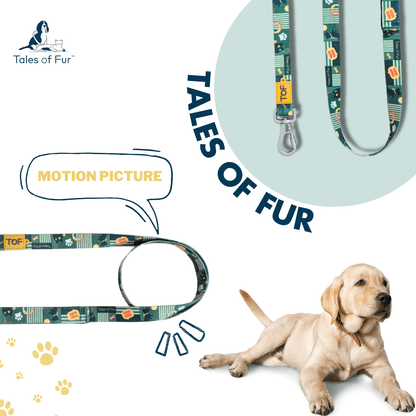 Tales of Fur Motion Picture Premium carabiner leash with padded handle Large - Natural Pet Treats - Tales Of Fur