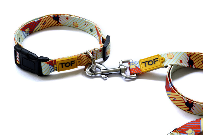 Tales of Fur Elemental Plastic buckle Collar with metal D-Ring