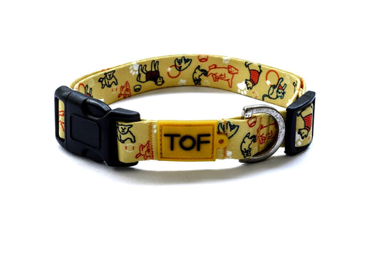Tales of Fur It's Play - time! Plastic buckle collar with metal D - Ring Large - Natural Pet Treats - Tales Of Fur