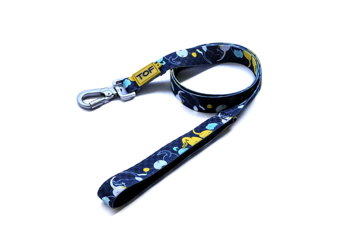Tales of Fur Tails Ahoy! Premium carabiner leash with padded handle Large