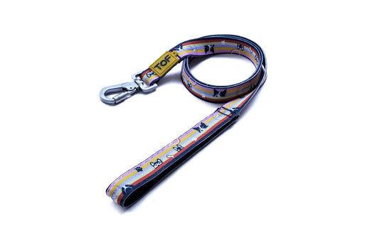 Tales of Fur Prism Premium carabiner leash with padded handle Large - Natural Pet Treats - Tales Of Fur
