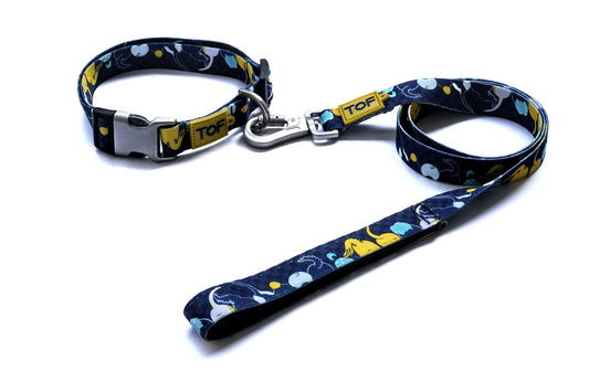 Tales of Fur Tails Ahoy! Premium carabiner leash with padded handle Small