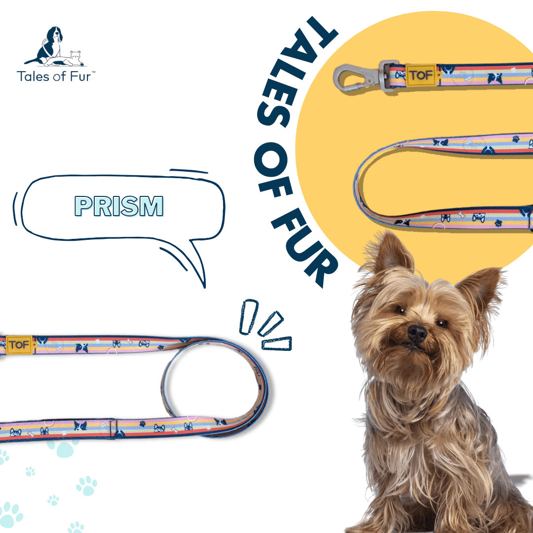 Tales of Fur Prism Premium carabiner leash with padded handle Large - Natural Pet Treats - Tales Of Fur