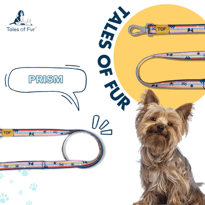 Tales of Fur Prism Premium carabiner leash with padded handle Large - Natural Pet Treats - Tales Of Fur