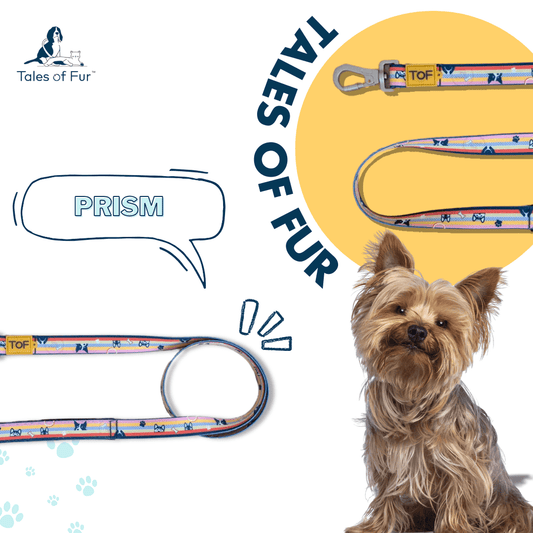 Tales of Fur Prism Premium carabiner leash with padded handle Large - Natural Pet Treats - Tales Of Fur