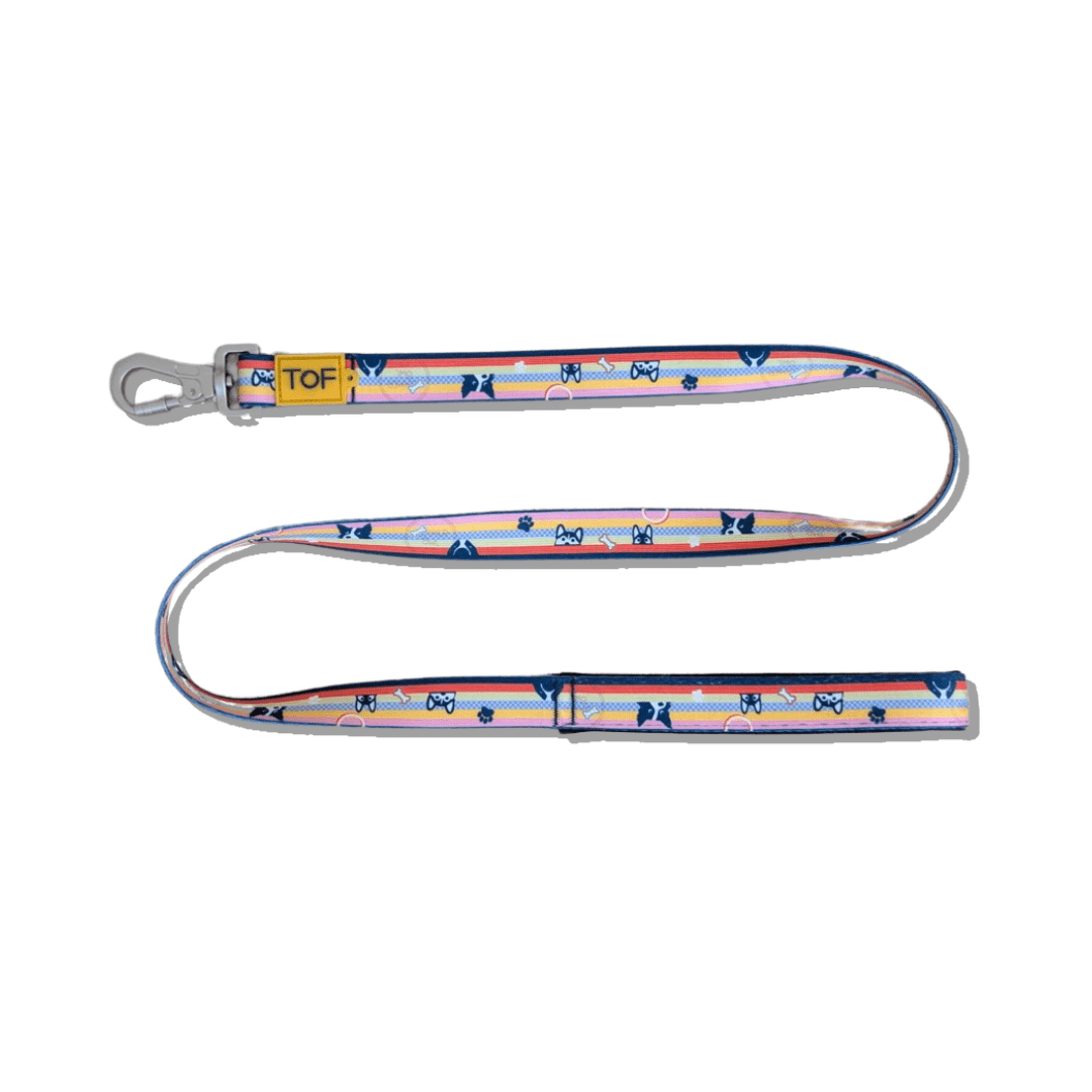 Tales of Fur Prism Premium carabiner leash with padded handle Large - Natural Pet Treats - Tales Of Fur
