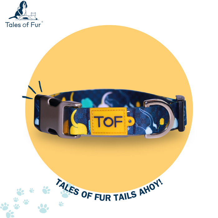 Tales of Fur Tails Ahoy! Premium metal collar with D-Ring Large