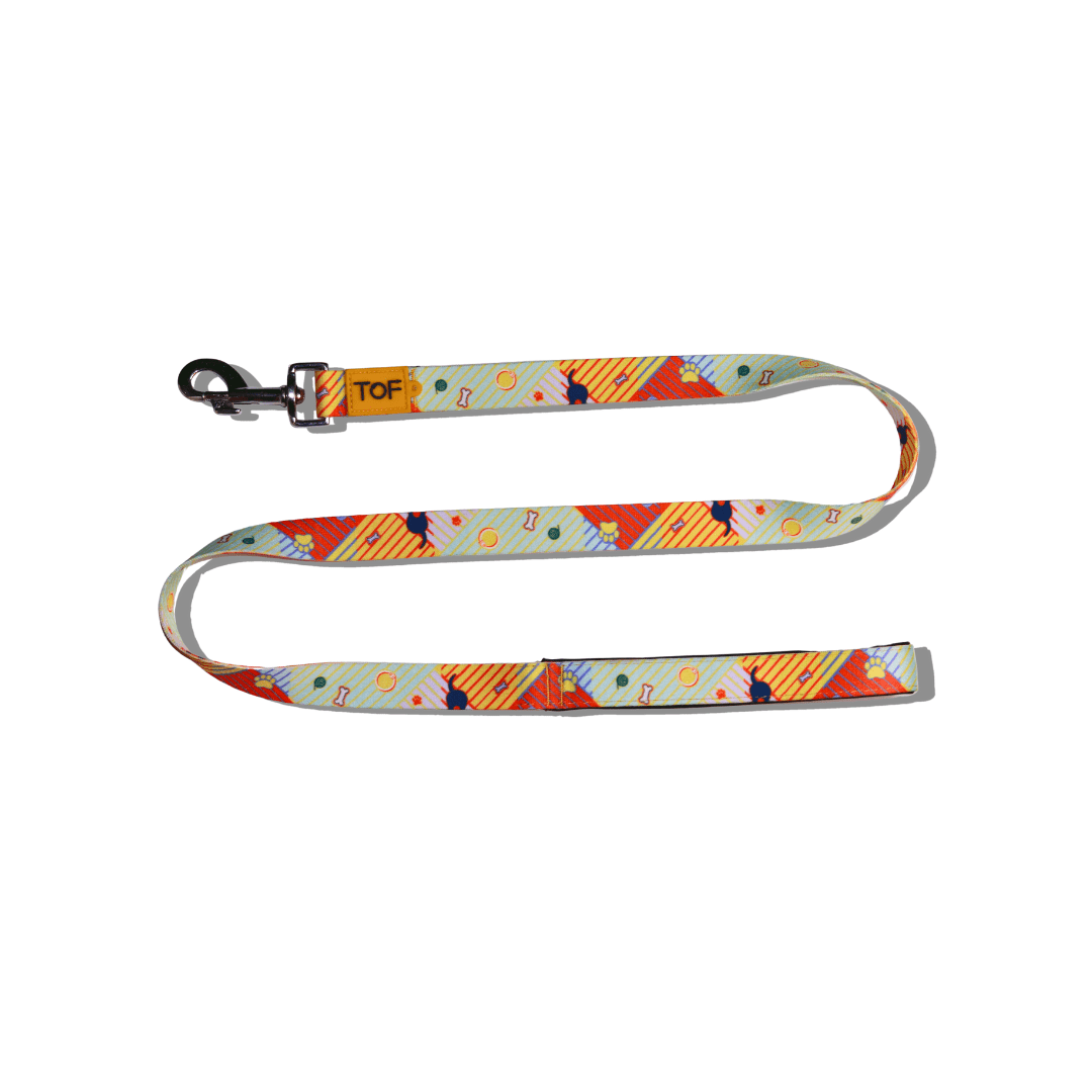 Tales of Fur Elemental Snap Hook Leash with padded handle Large - Natural Pet Treats - Tales Of Fur