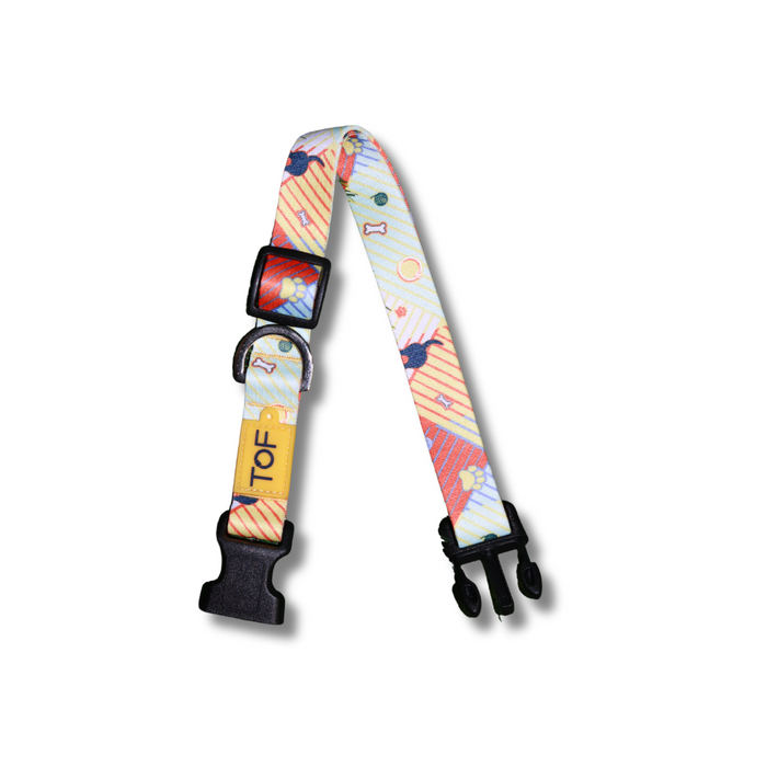 Tales of Fur Elemental Plastic buckle Collar with metal D-Ring Large