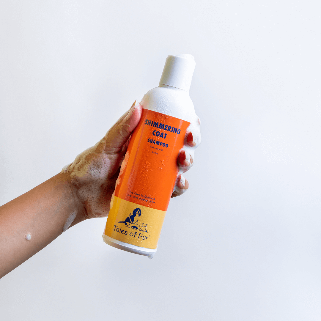 Shimmering Coat Shampoo - With Hemp Oil - Natural Pet Treats - Tales Of Fur