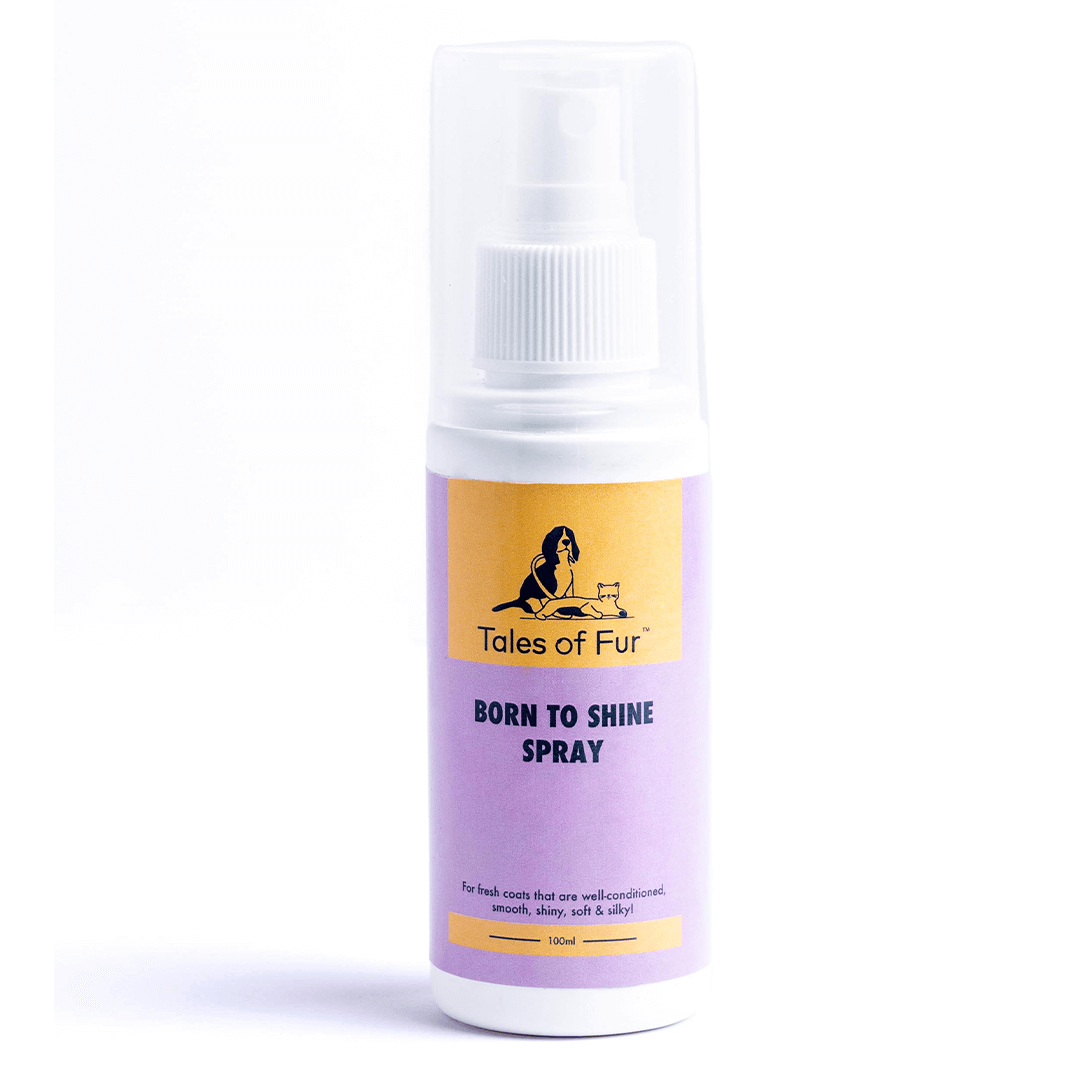 Born To Shine Spray - Natural Pet Treats - Tales Of Fur