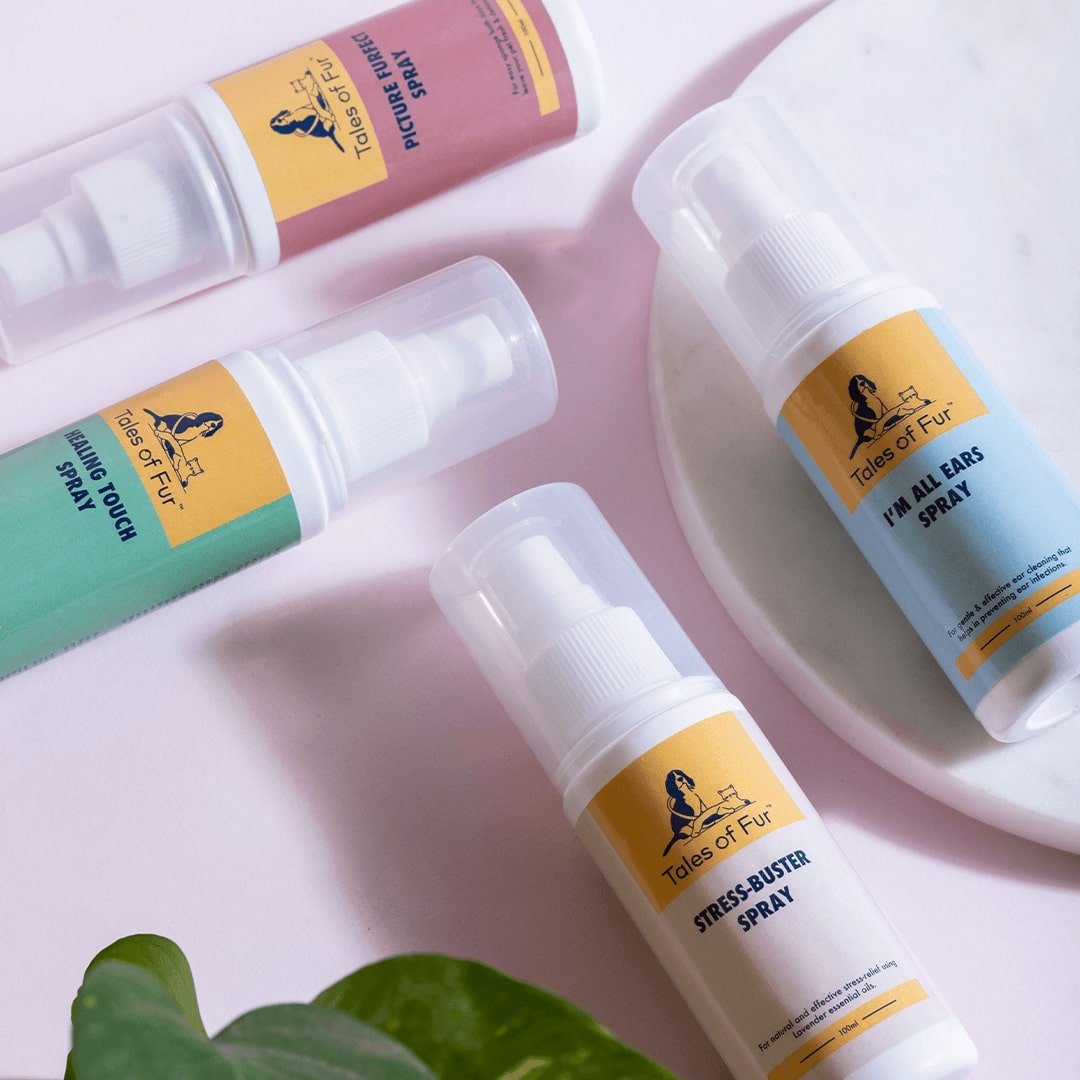 Picture Furfect Spray - Natural Pet Treats - Tales Of Fur