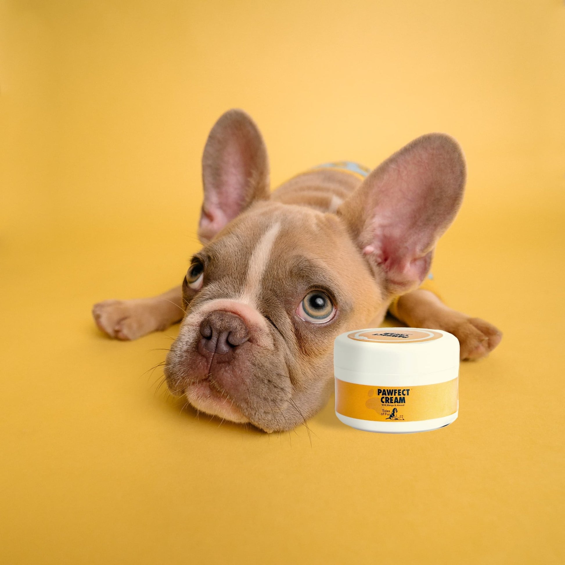 Pawfect Cream - With Mango & Almond - Natural Pet Treats - Tales Of Fur