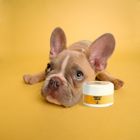 Pawfect Cream - With Mango & Almond - Natural Pet Treats - Tales Of Fur